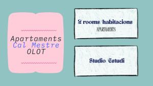 Cal Mestre- Olot