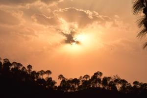 Pinewood Sunrise Homestay Kasauli