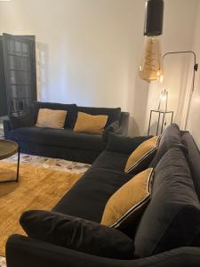 Appartements Le grand appartement : Appartement