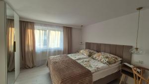 Apartamenty Bujowy