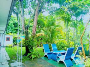 The Comfortable Coconut House