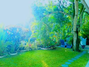 The Comfortable Coconut House