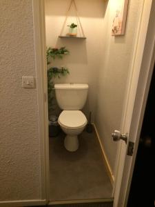 Appartements Studio cabine 5 couchages - Station du Collet d-Allevard : photos des chambres