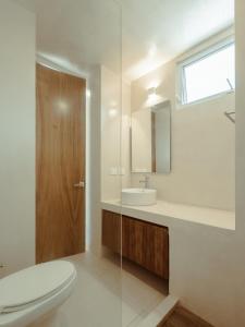 Ideal studio for digital nomads