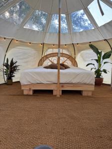 Glampingtelt telt i naturens hjerte