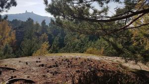 Chata na vrcholu Boreckých skal