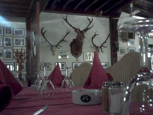 Rihana Hotel - Ain Draham