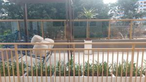 Perdizes Premium Conforto