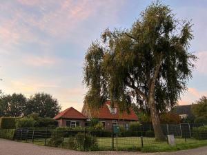 Equi Guidance Studio