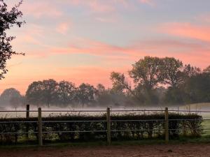 Equi Guidance Studio