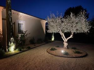 Maisons de vacances Maison au calme proche Mont Ventoux et Luberon : photos des chambres