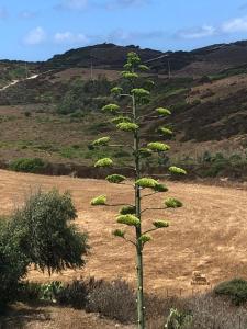 Il Giardino di Elettra img32
