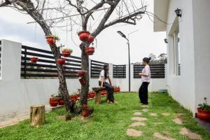 Willostays Snowmanor kodaikanal