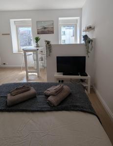 Appartements Studio proche port : photos des chambres
