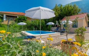 Beatiful Villa Antonela with pool in Makarska