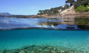 Appartements Appartement cosy village entre mer et nature : photos des chambres