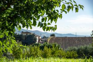 ScholaBnb “ percorso esperenziale di vita rurale sostenibile”