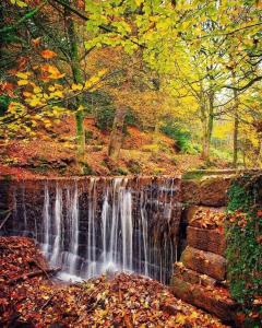 Luxury Village Cottage on doorstep of Alton Towers