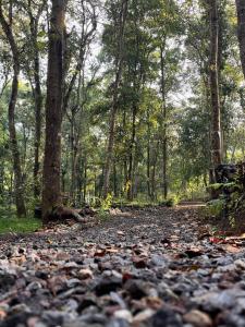 Cabaña de los Titos
