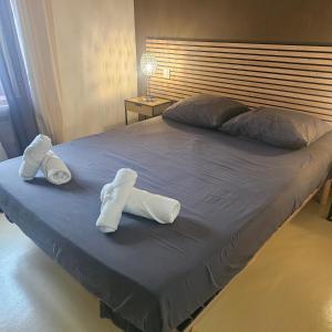 Appartements CITE MEDIEVALE- LE REMP'ART - Tout Confort - Acces direct pietons - parking gratuit : photos des chambres