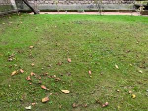 Appartements Havre de paix pres de Roland Garros : photos des chambres