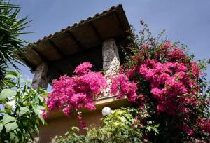 Appartamento con 1 Camera da Letto, Patio e Vista Piscina