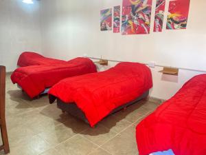 EL TAKÚ alojamiento