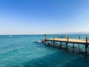 3BR Duplex with Rooftop Oasis in the Heart of Einbay