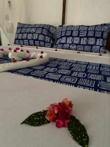 Beachhouse with AC, wifi, generator breakfast incl