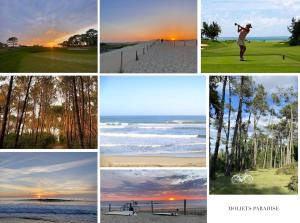 Villas Villa Hau-Oli, 4 chambres, spacieuse, piscine privee, grand jardin fleuri vue golf et 8min a pied de la plage : photos des chambres