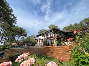 Villas Villa Hau-Oli, 4 chambres, spacieuse, piscine privee, grand jardin fleuri vue golf et 8min a pied de la plage : photos des chambres