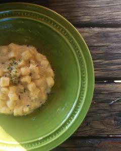 Fattoria di Germagnano