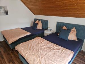 P Holding Apartments