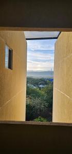 Hacienda Peñalisa Mango