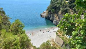 Borgo P Palazzo Catone