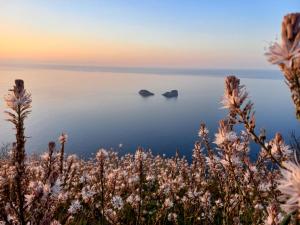 Borgo P Palazzo Catone