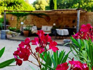 B&B / Chambres d'hotes Le mas des escans : photos des chambres