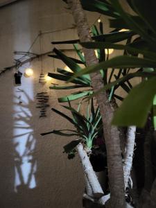 Protaras Happy Sunny Holidays