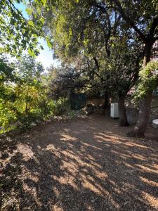 Campsite Autocamp Panorama