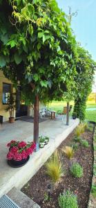 Ruime vakantie accommodatie in rustige, landelijke omgeving