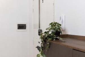 Appartamento Campo Marzio Lusso