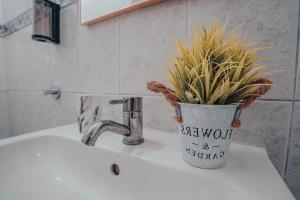 Yellow House - Casa 2