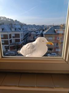 Appartements L-amoureuse : Appartement 1 Chambre