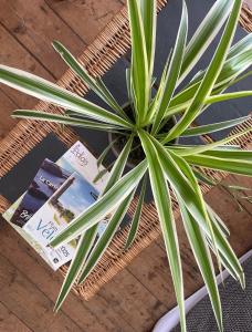 Nid cosy au cœur de Palais