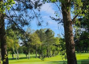 Appartements Zipporah : photos des chambres