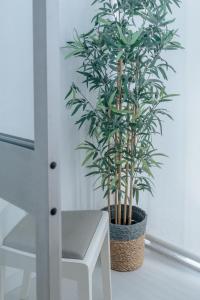 Palácio de Cristal, Porto Apartment by Mycelia