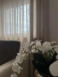 Tirana Rentals - Astiri