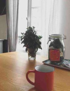 Appartements Charmant studio proche de la plage : photos des chambres