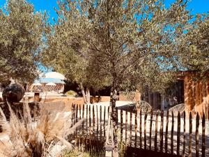 B&B / Chambres d'hotes Domaine FINCA LESSYA, Lodge insolite & SPA : photos des chambres