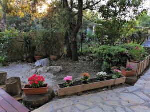 Appartements Studio Detente avec Terrasse : photos des chambres